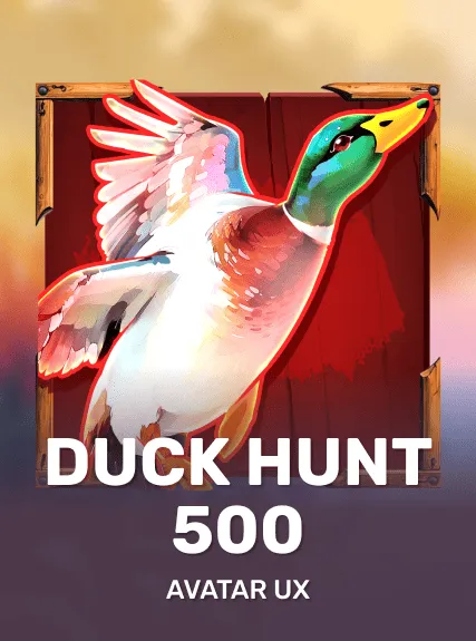 Duck Hunt 500