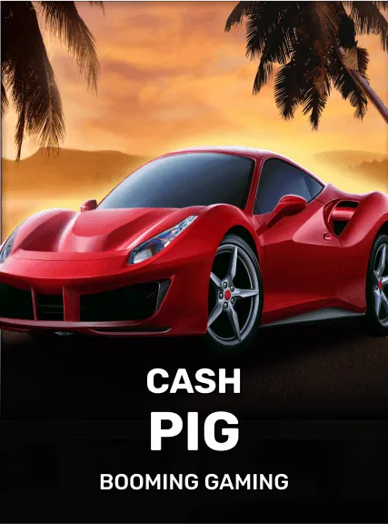 Cash Pig