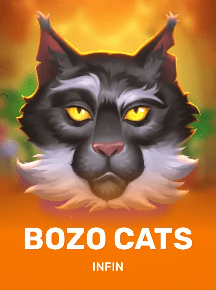 Bozo Cats