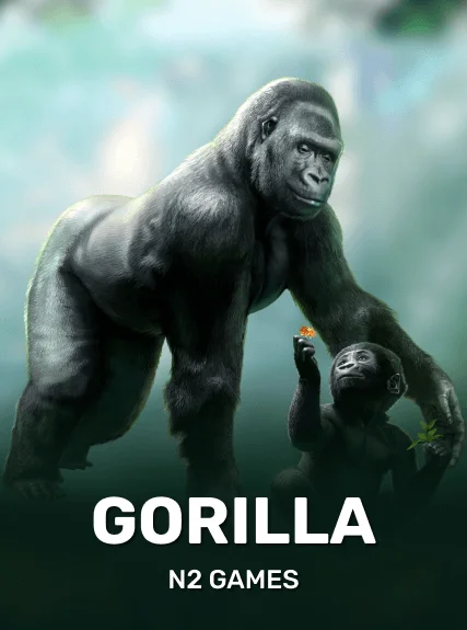 Gorilla