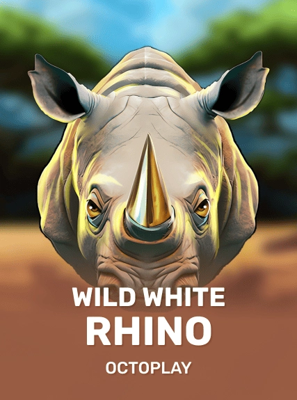 Wild White Rhino