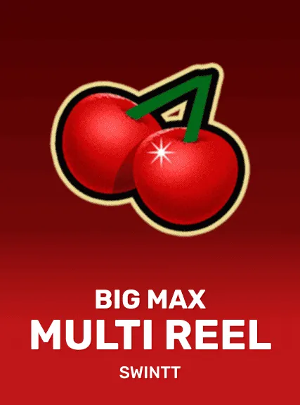 Big Max Multi Reel