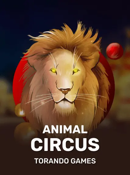 Animal Circus