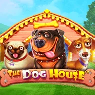 pragmaticexternal/TheDogHouse
