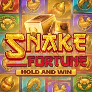 Snake Fortune Hold and Win