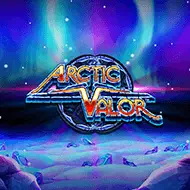 Arctic Valor