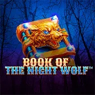 Book of The Night Wolf