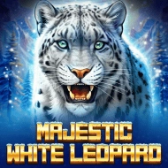 Majestic White Leopard