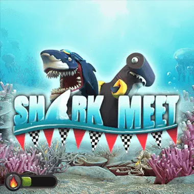 shark-meet