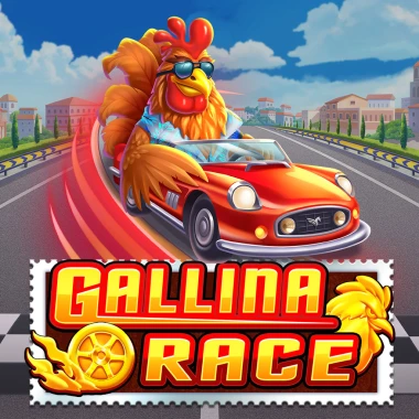 gallina-race
