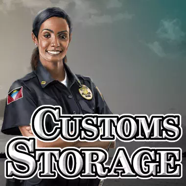 Customs Storage game tile