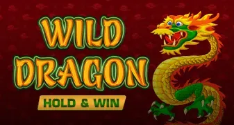 Wild Dragon Hold & Win