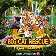 redtiger/BigCatRescueMegaways