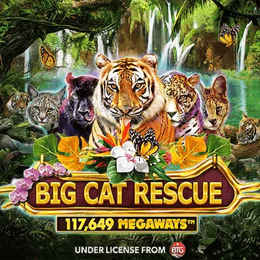 evolution/BigCatRescueMegaWays