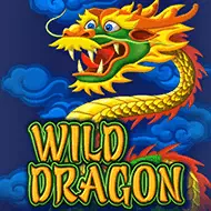 Wild Dragon