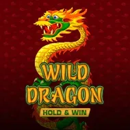 Wild Dragon Hold & Win