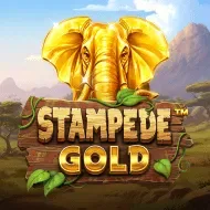 Stampede Gold