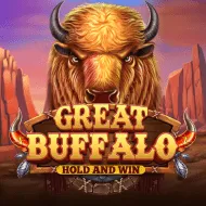 Great Buffalo Hold’n Win