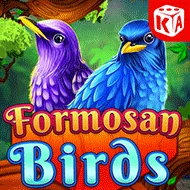 Formosan Birds