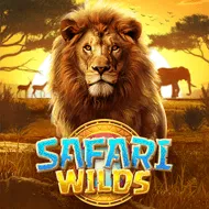 Safari Wilds