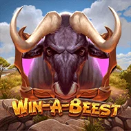 Win a Beest