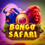 Bongo Safari