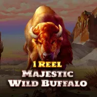 1 Reel - Majestic Wild Buffalo