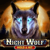 Night Wolf - Hold & Hit