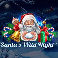 Santa’s Wild Night