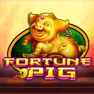 Fortune Pig