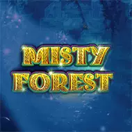 Misty Forest