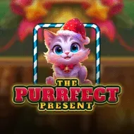 The Purrfect Present