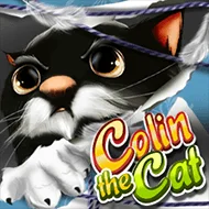 Colin The Cat