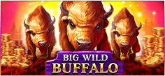 Big Wild Buffalo game tile