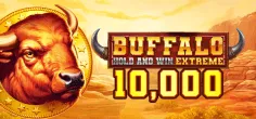 Buffalo Hold and Win Extreme 10,000 game tile