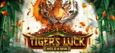 Tiger's Luck - Hold & Win game tile