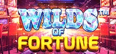 Wilds Of Fortune game tile