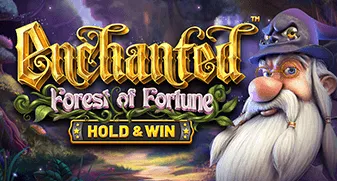 bsg/EnchantedForestOfFortune