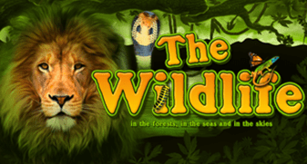belatra/TheWildlife
