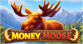 booming/MoneyMoose