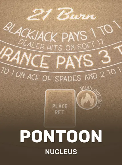 Pontoon 21 game tile