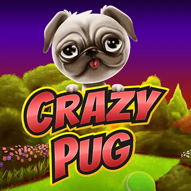 swintt/CrazyPug