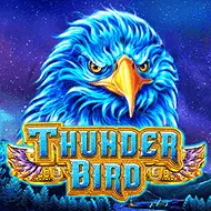 gameart/ThunderBird