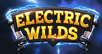 relax/ElectricWilds