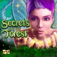 highfive/SecretsoftheForest