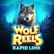 netgame/WolfReelsRapidLink