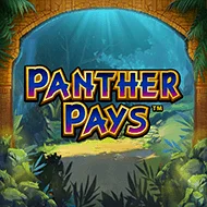 playtech/PantherPays