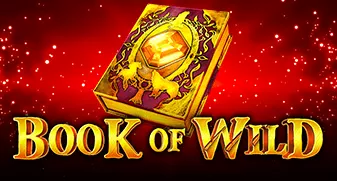 Slot Book of Wild with Bitcoin