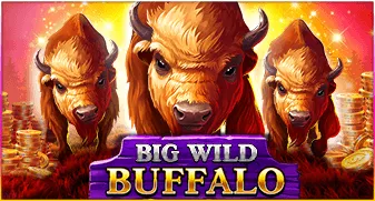 Bitcoin가 있는 슬롯 Big Wild Buffalo
