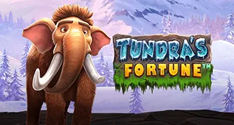 Tundra’s Fortune
